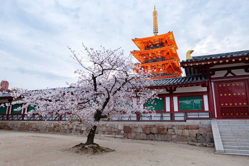 最新版 四天王寺中合格への道 年入試からみる21年の対策 中学受験ママのお悩みあれこれ プロ家庭教師の総合進学セミナー