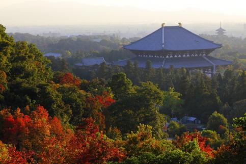 【最新版】東大寺学園中合格への道！2020年入試からみる2021年の対策