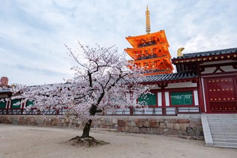 【最新版】四天王寺中合格への道！2020年入試からみる2021年の対策