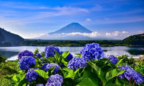 中学入試によく出る問題★理科(生き物と四季)編